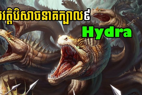 Как найти kraken