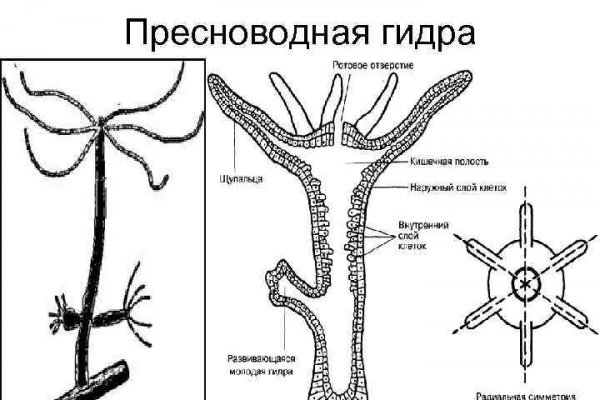 Кракен короткая ссылка